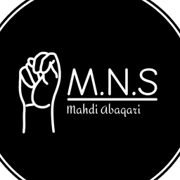 M.N.S Logo